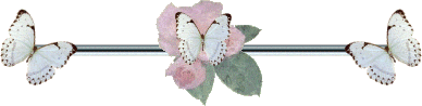 butterfly header